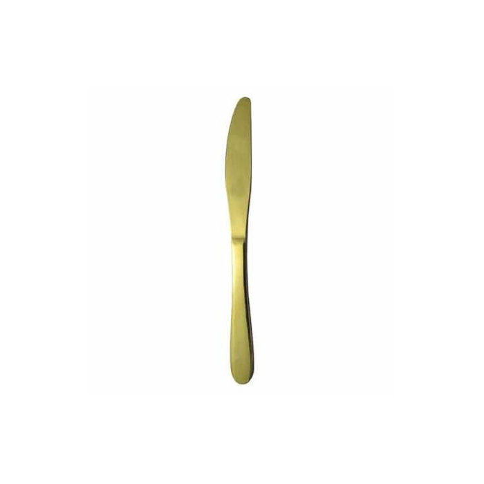 Gold Stainless Steel Dinner Knife Set of 2 - Image 1